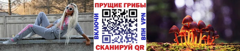 Галлюциногенные грибы прущие грибы  Печора 